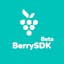 BerrySDK - Powerful Screen Recorder API