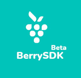 Berrysdk-强大的屏幕录音机API