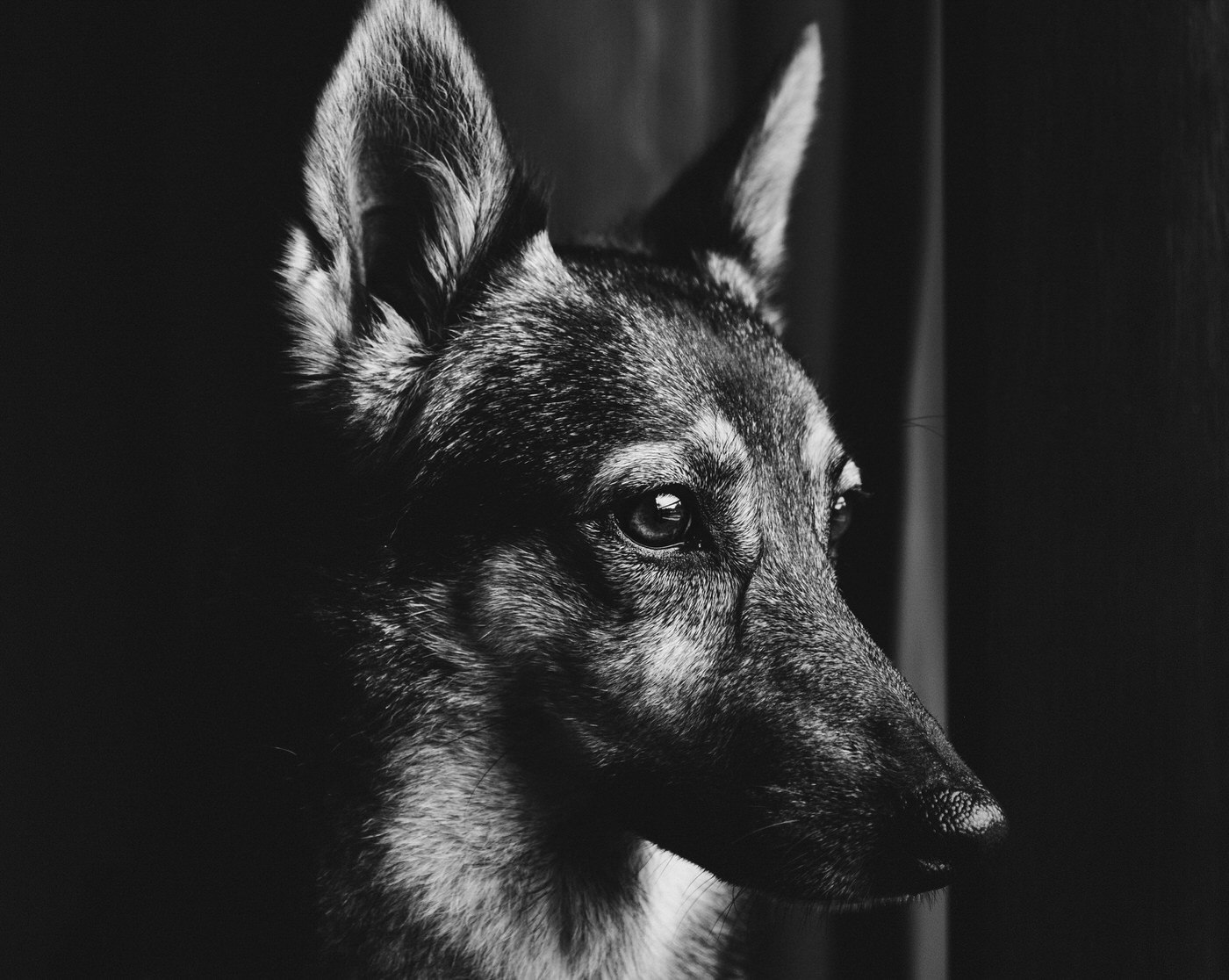 X-CHROME for Lightroom gallery image