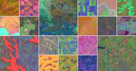 AlphaEarth Foundations