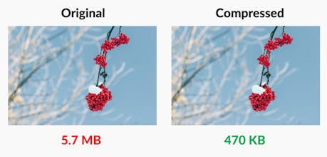 jpegxl.io - A free JPEG XL converter ✨ gallery image