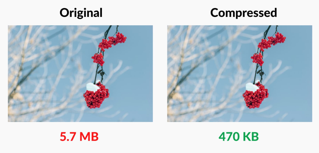 JPEG XL Converter Medien 1