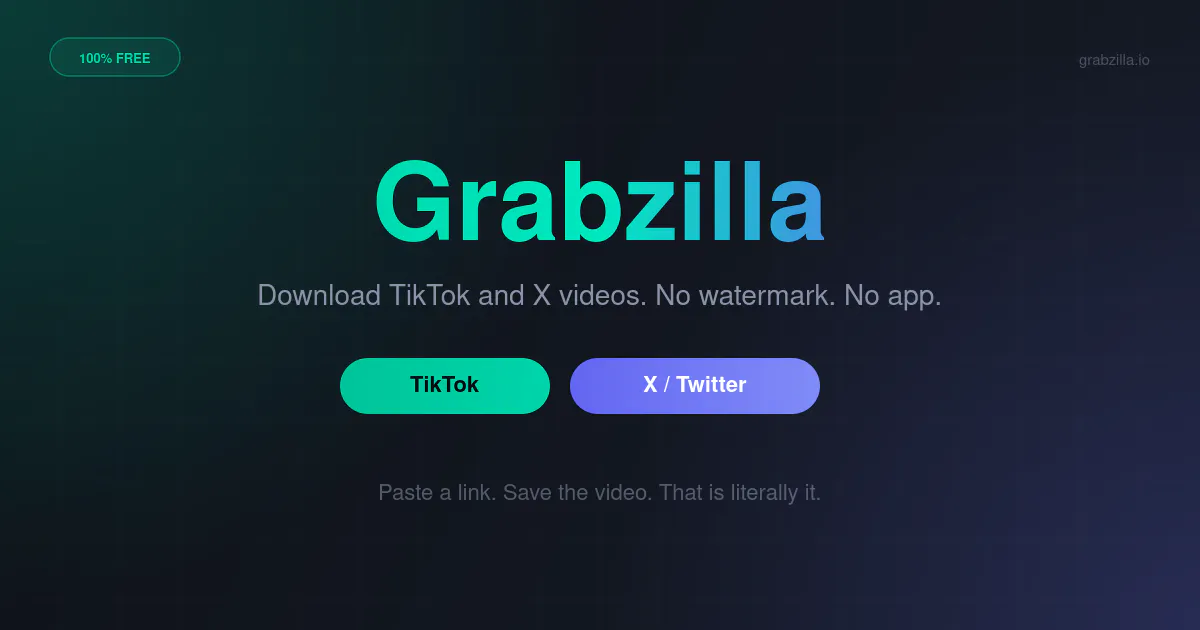 Free TikTok & X Video Downloader 项目横幅
