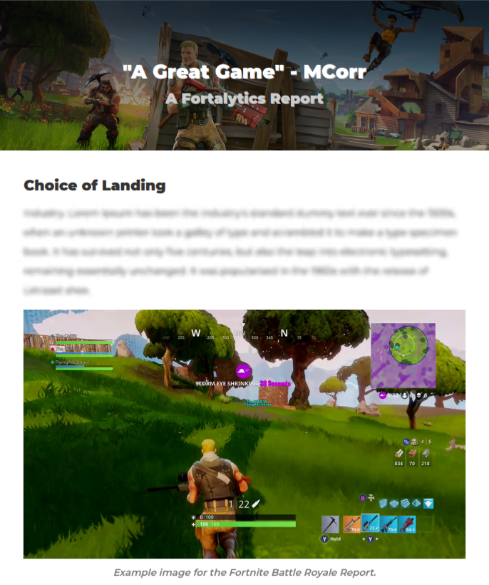 Fortalytics gallery image