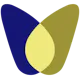 vellum