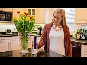 iClean mini gallery image