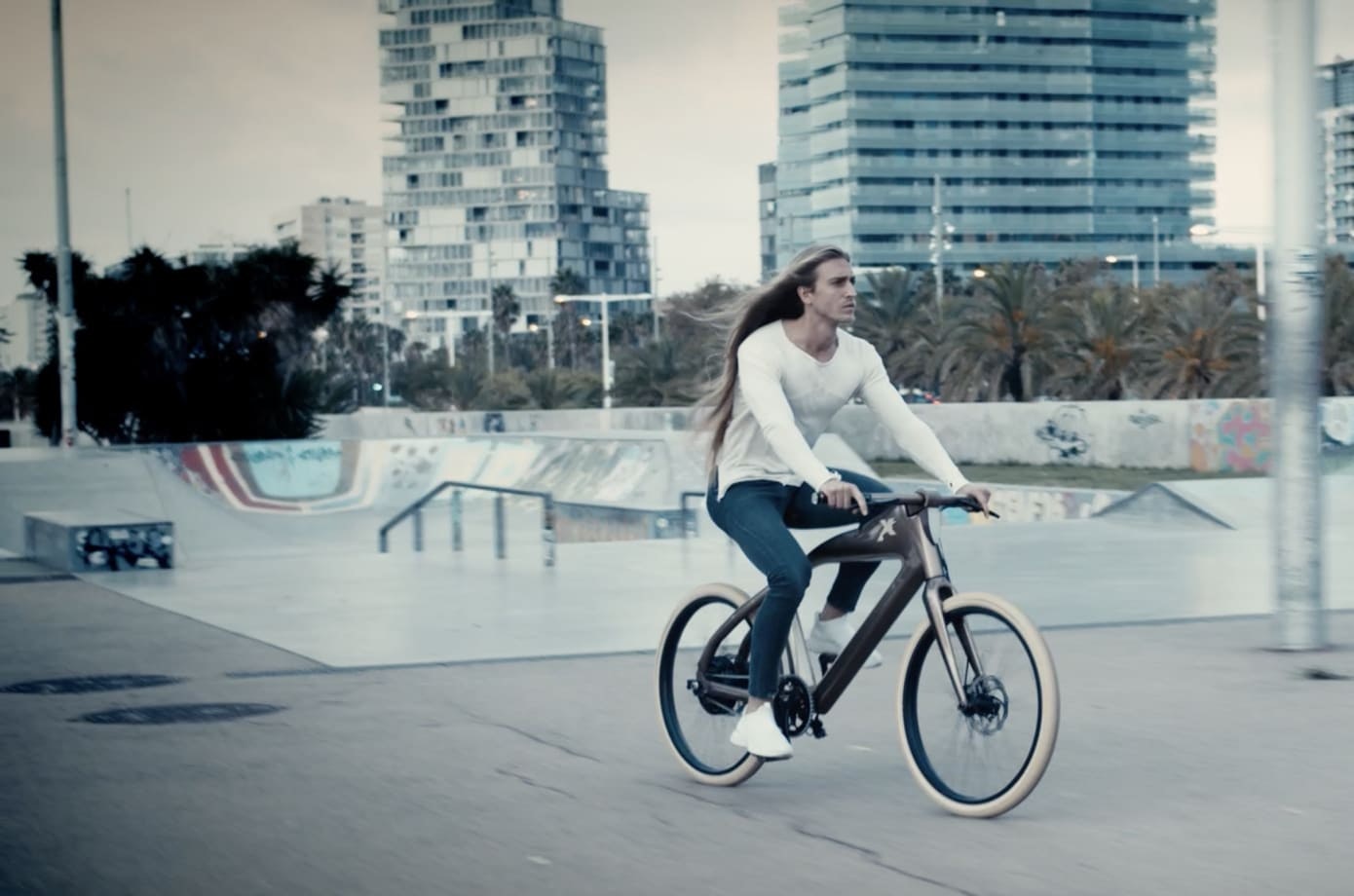 Rayvolt eXXite X One Ebike gallery image