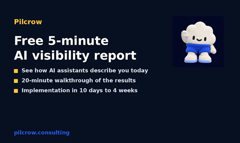 Pilcrow AI Visibility Report screenshot 3