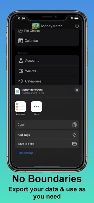 MoneyMeter gallery image