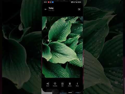 Backpaper gallery image