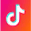 TikTok Downloader