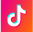 TikTok Downloader logo