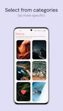 Adorn Wallpapers gallery image