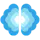 RapidReport.com