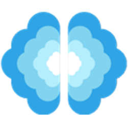 RapidReport.com logo