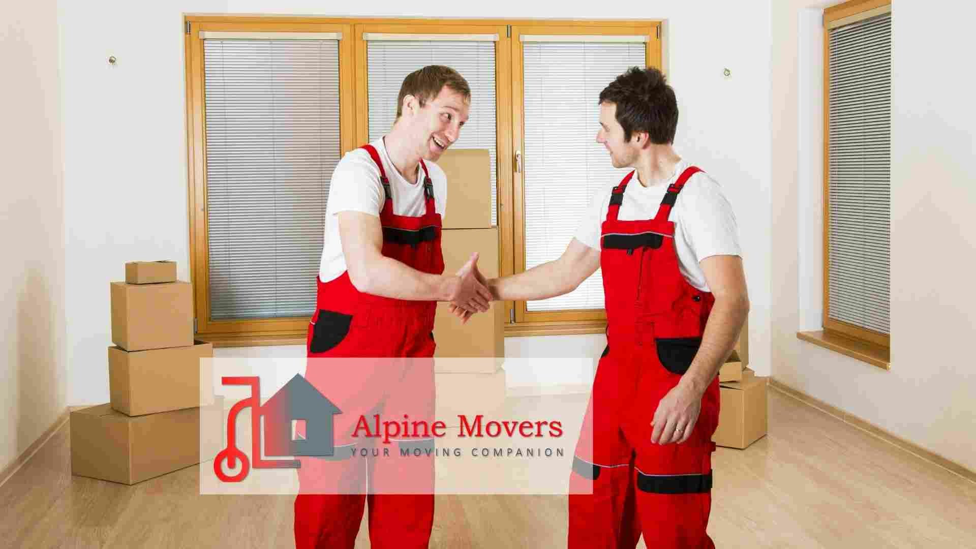 Movers y Packers en Sharjah media 2