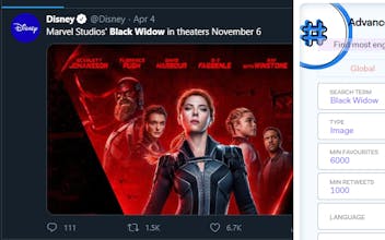 Advanced Twitter Search gallery image