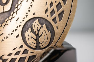 A.D. 2020: This Is Fine gallery image