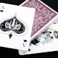 Divine Art Playing Cards - Inspired by Hindu Mythology