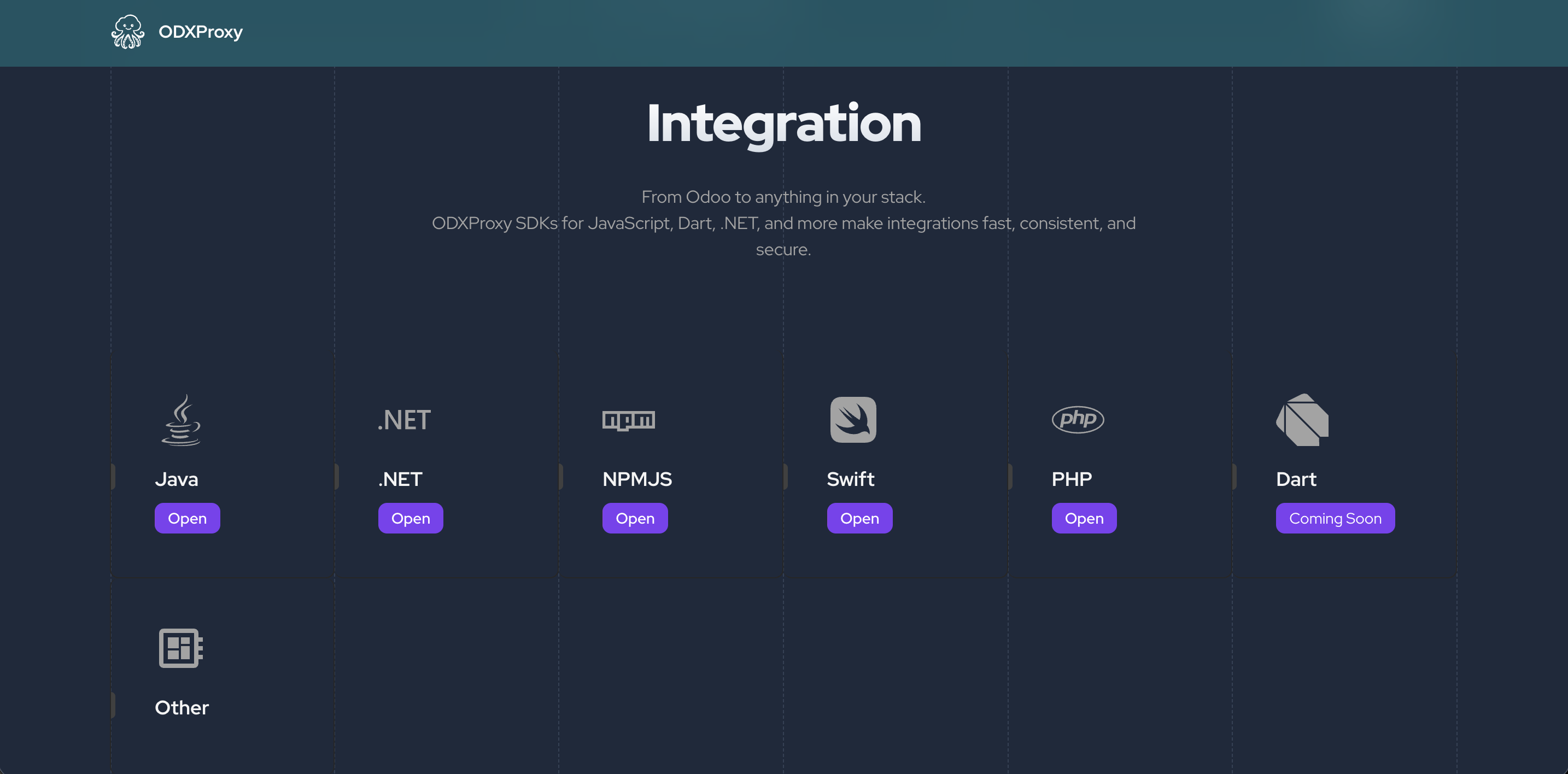 ODXProxy: Secure API Gateway for Odoo gallery image