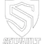 Selvault Finance