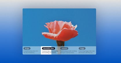 Ui-Layouts gallery image