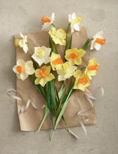 Easy and fun paper craft kits for kids gallery image