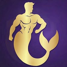 NicheAI gallery image