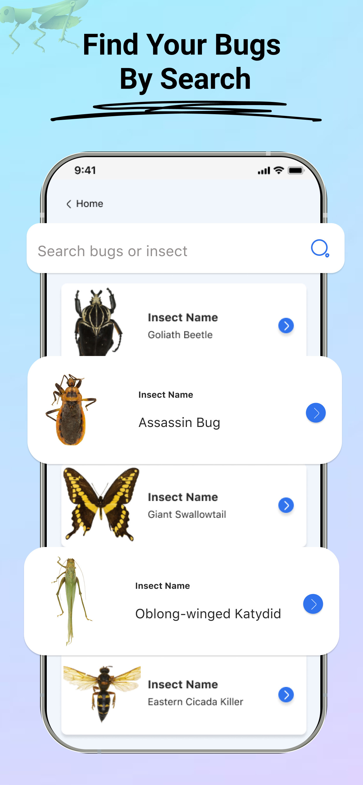 Insect -identificatie: bugvinder media 5