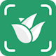 Plant ID & Disease Identifier