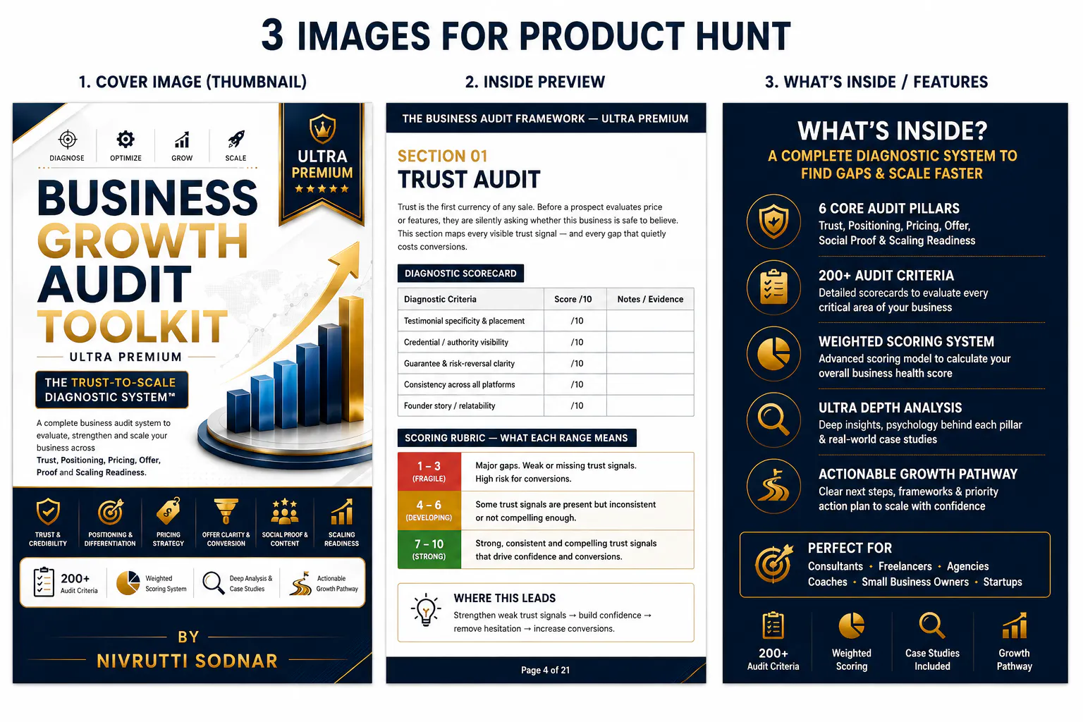 Business Growth Audit Framework  gallery image
