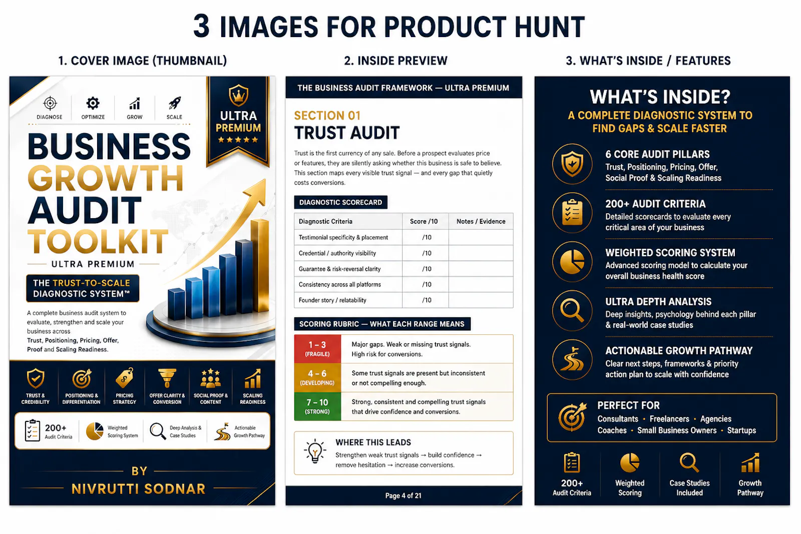 Business Growth Audit Framework  screenshot 2