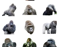 Jarambe - Gorilla Sticker Pack media 2
