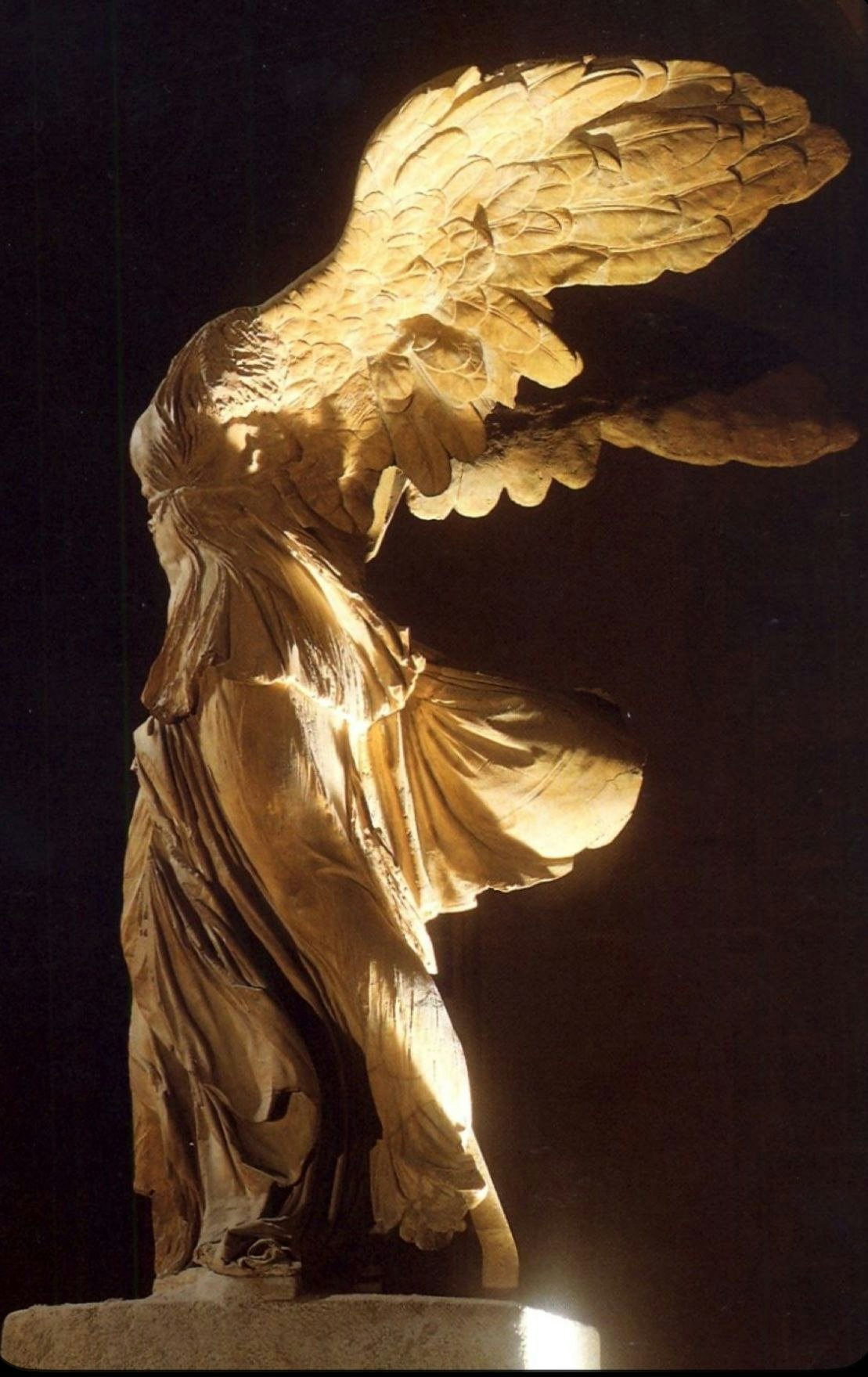 Philologus gallery image