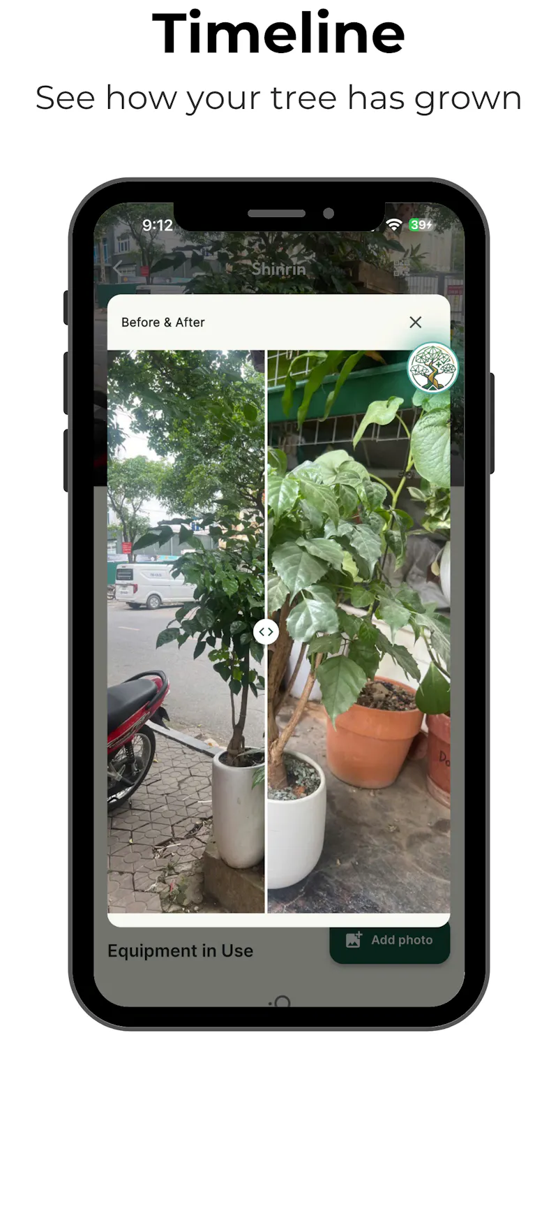 TreeMax screenshot 7