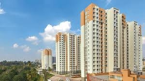 Prestigio campos de lavanda bangalore media 2