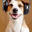 PodHound