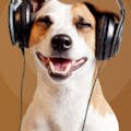 PodHound