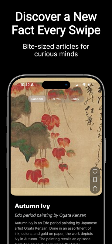 Curio - Unrot Your Brain gallery image