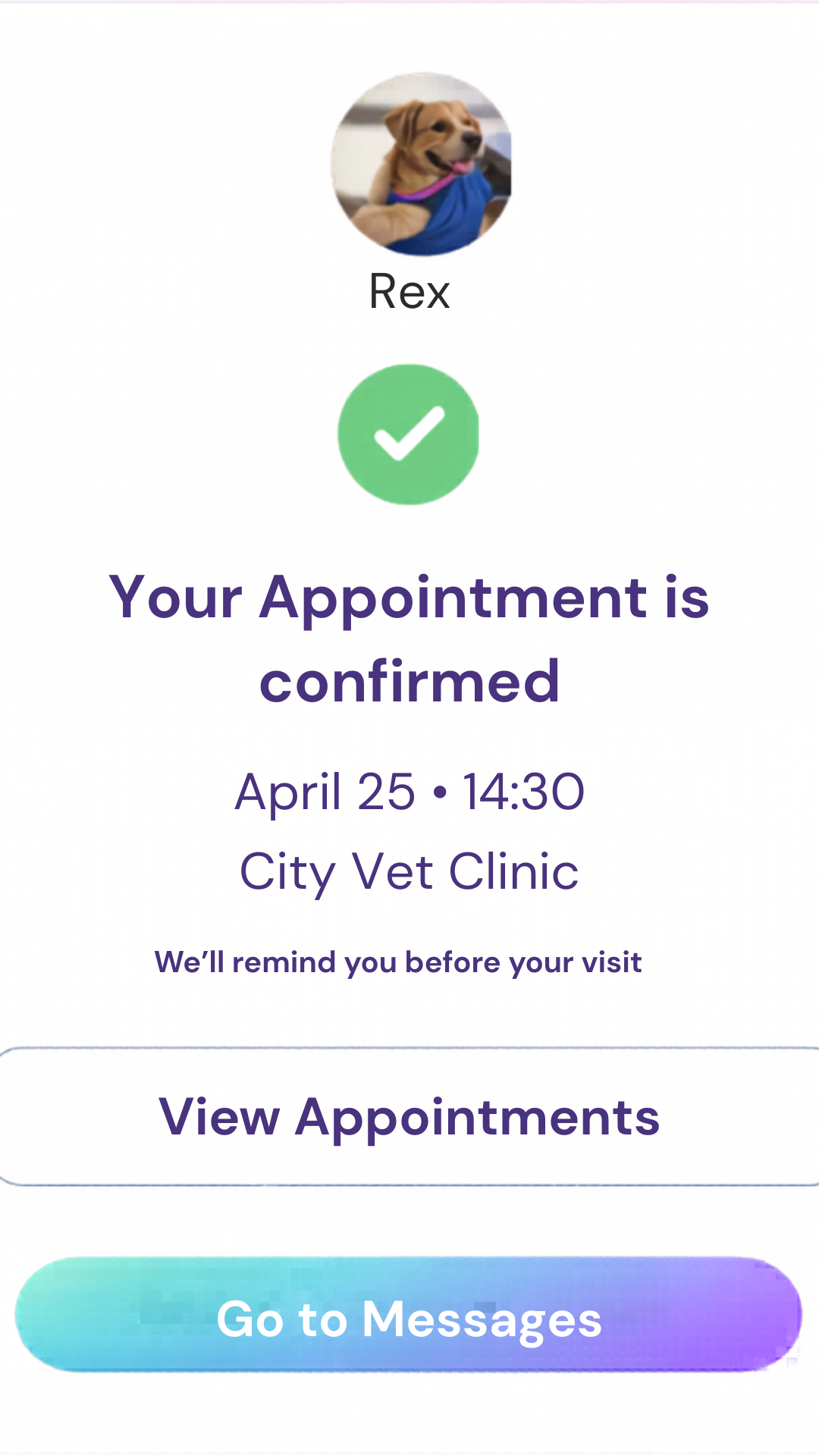 MyPetVet gallery image
