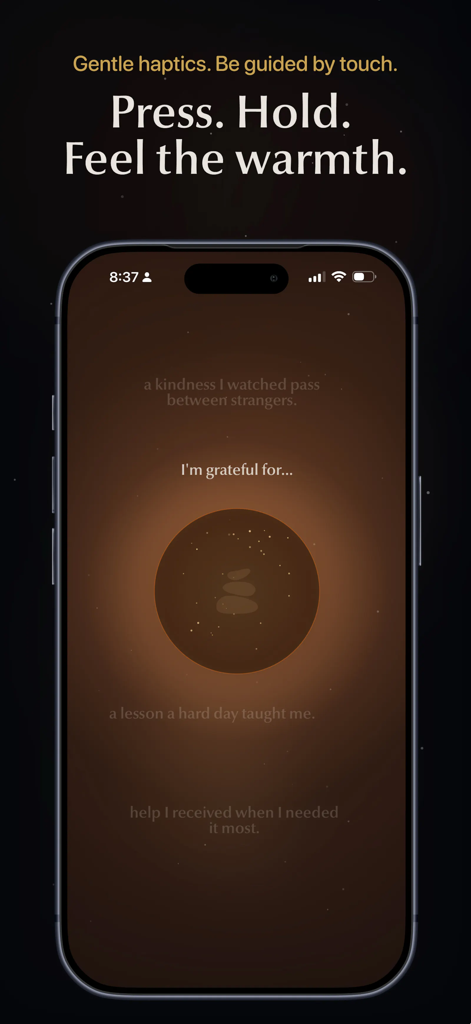 Settl screenshot 10