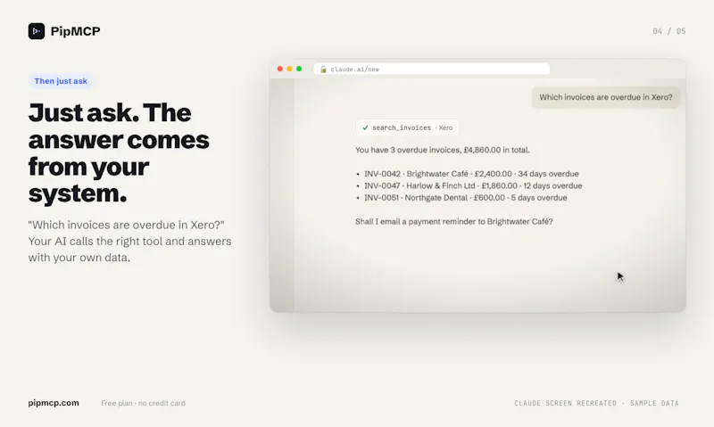 PipMCP screenshot 4
