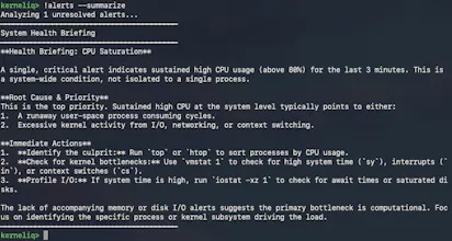 KernelIq gallery image