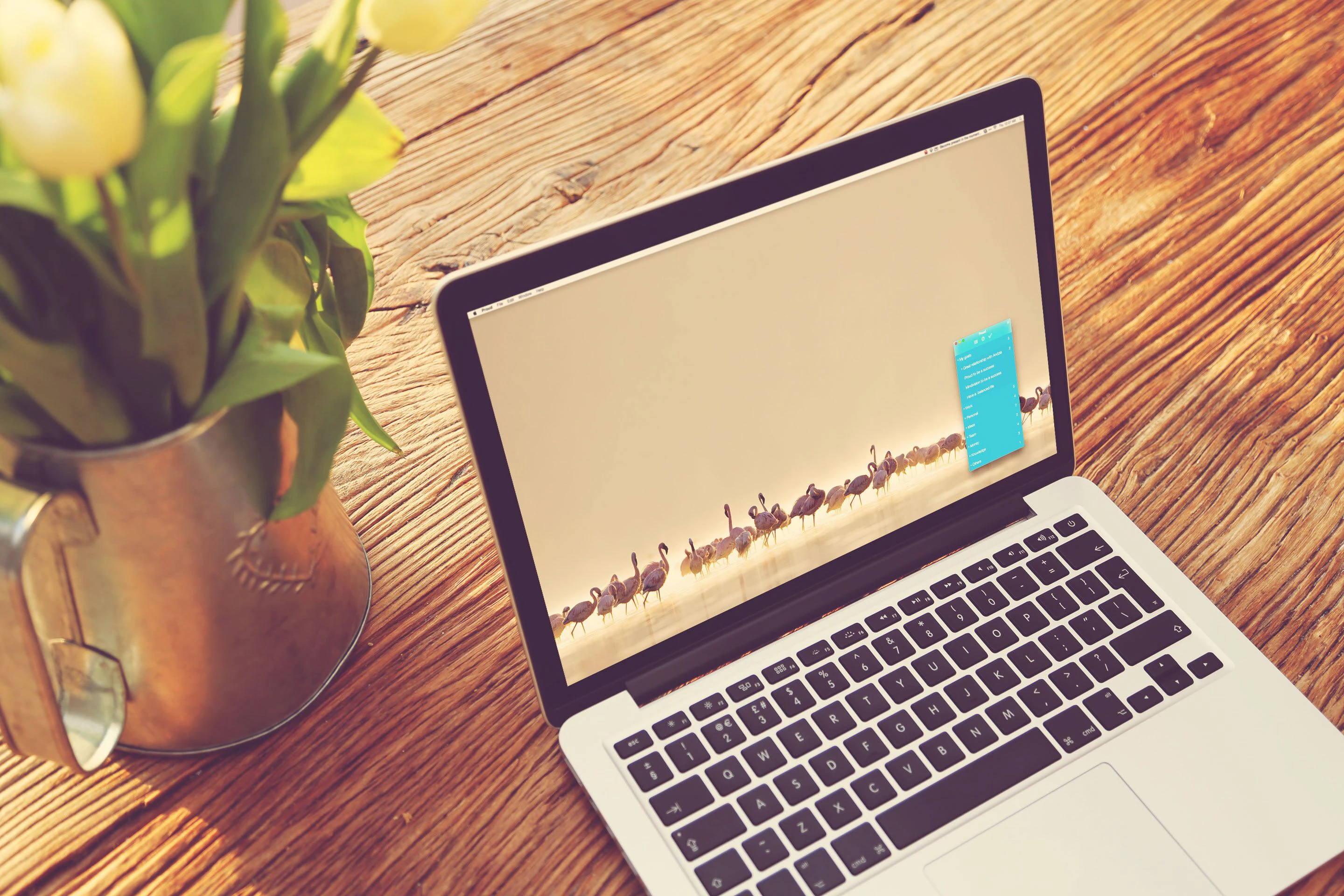 Angélique Toque cover