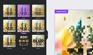 Frame Blur gallery image