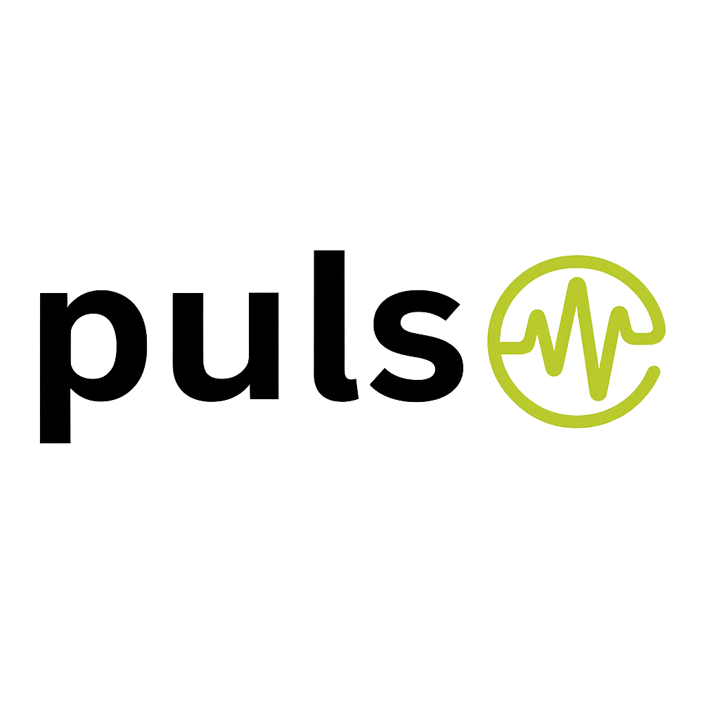 Pulse Finance Budget Tracker