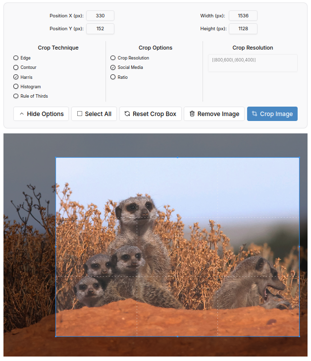 Mídia 2 de Assinatura - Captura de imagens sem esforço para cada projeto