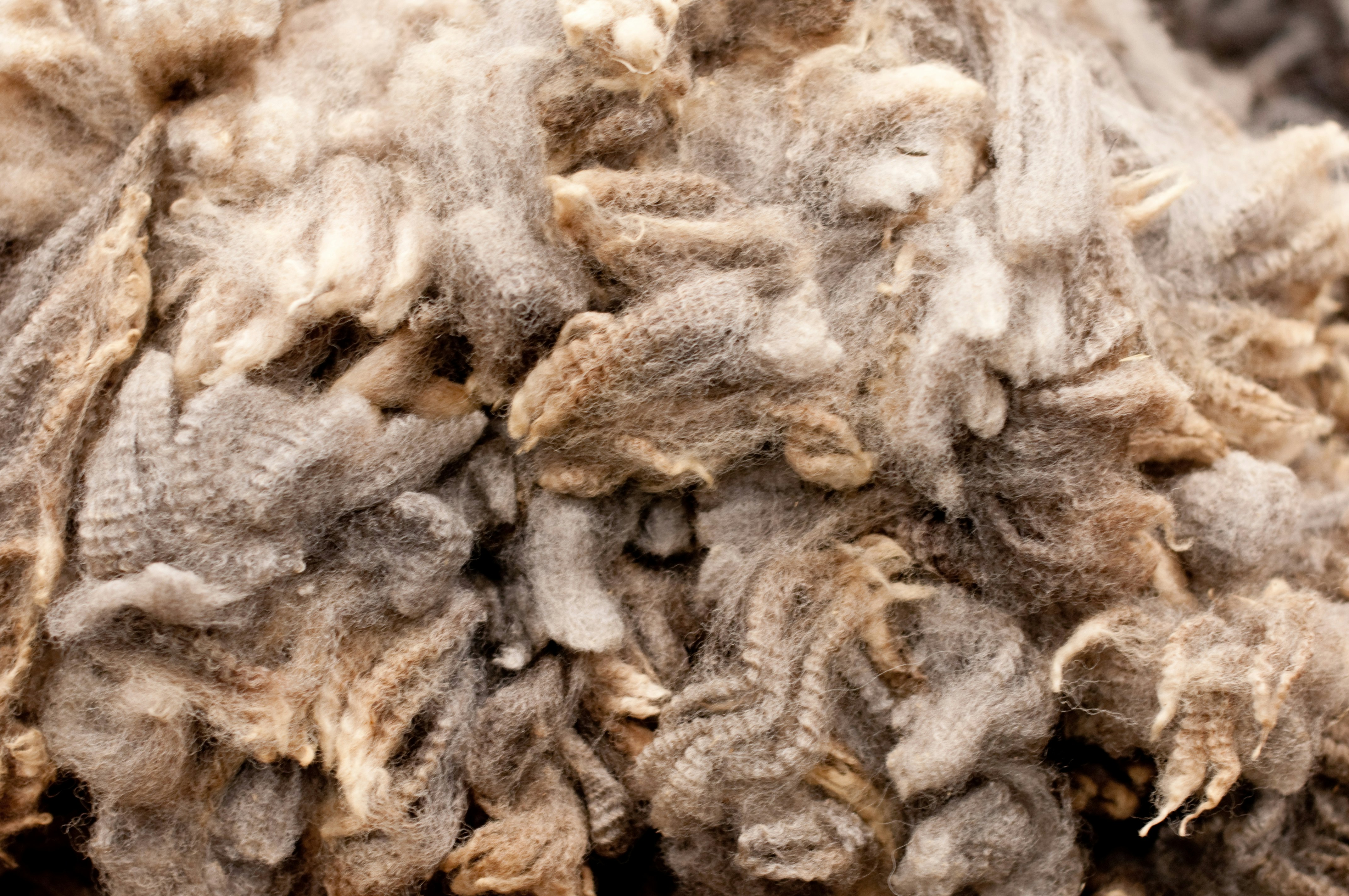 Commodities Trader gallery image