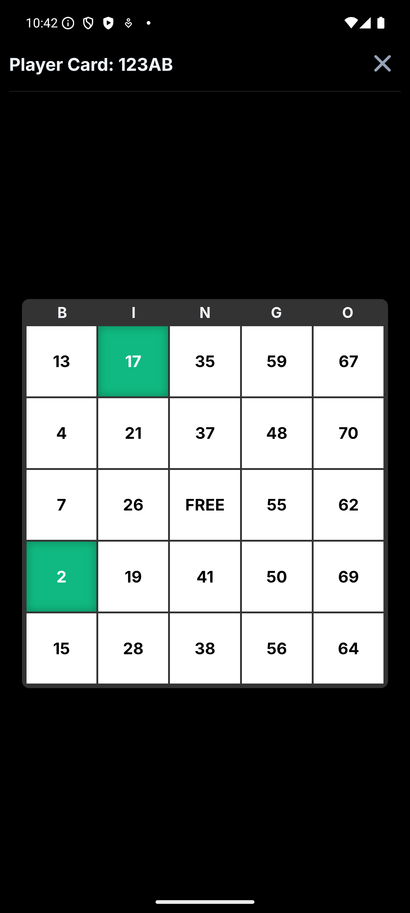 Bingo Caller Pro - Screenshot 2 showing product features and functionality
