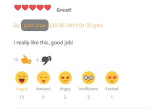 WordPress Review Plugin gallery image